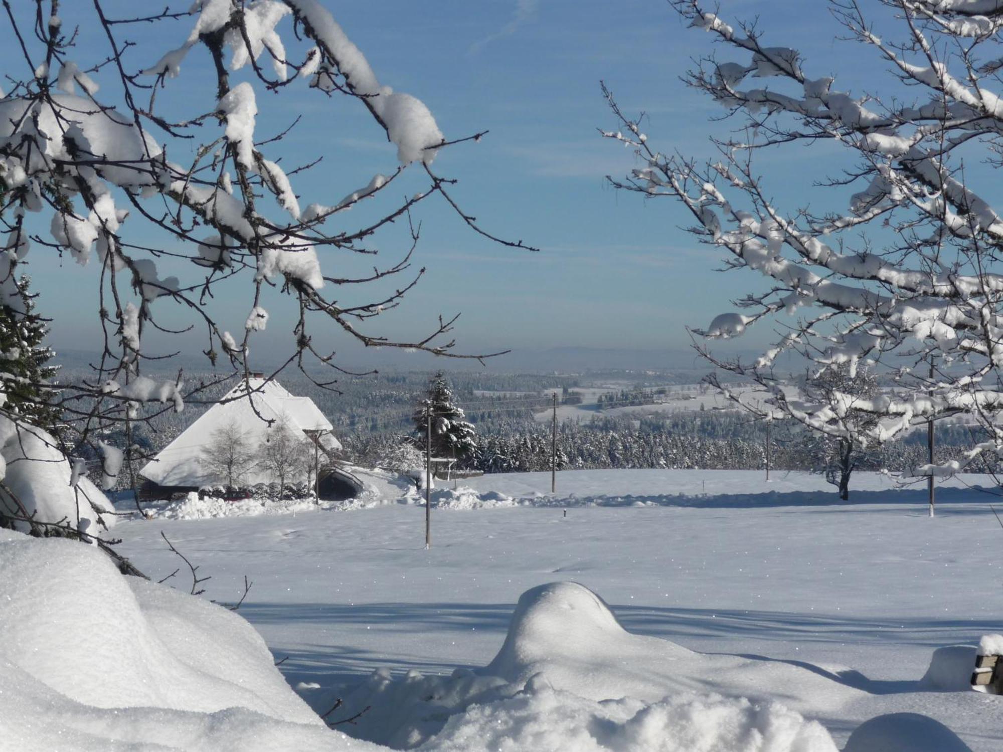 Hoehenpension Glashuette Bed&Breakfast Fruehstueckspension Hotel Garni 博恩多夫·因·斯瓦茨夫 外观 照片